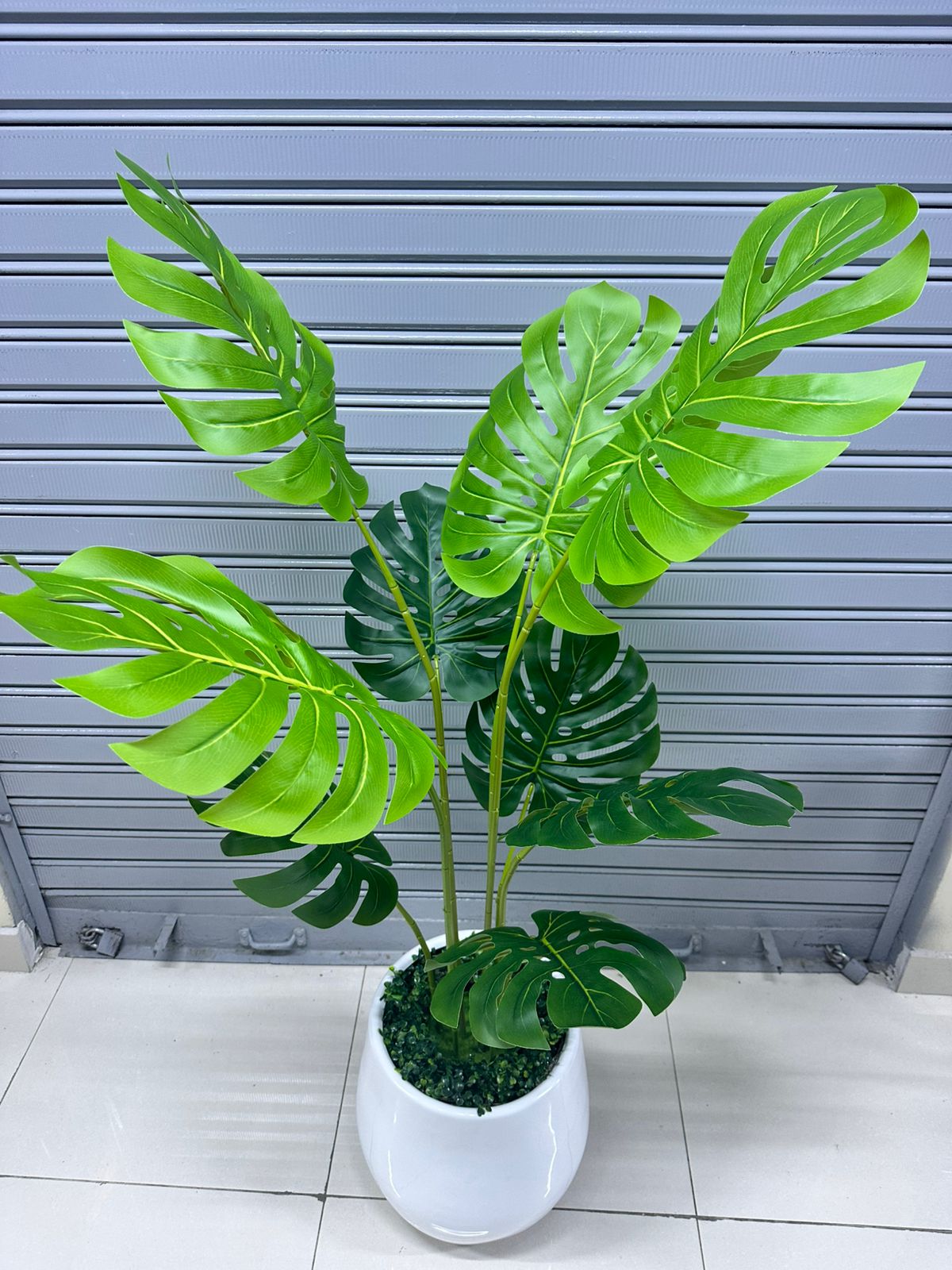 Planta Costilla de Adán + Maceta fibra de vidrio | 150cm — Plantas Artificiales